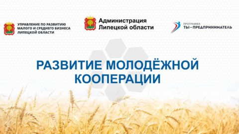 5 поток в рамках регионального проекта «Развитие молодёжной кооперации».