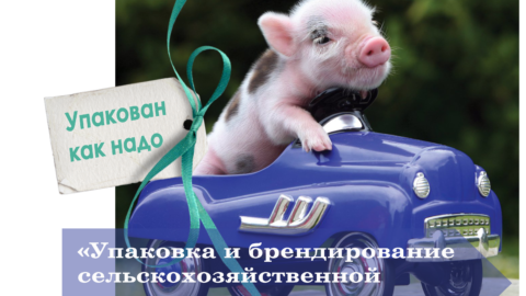 Вебинар «Упаковка и брендирование сельскохозяйственной продукции и услуг»
