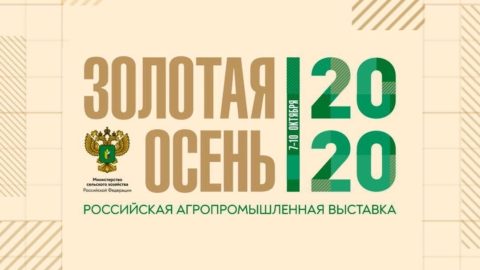Тему повышения предпринимательской активности обсудили на «Золотой осени 2020»