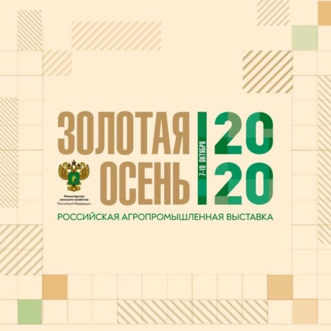 Тему повышения предпринимательской активности обсудили на «Золотой осени 2020»