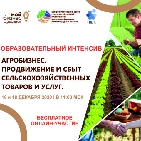 Образовательный интенсив для сельхозтоваропроизводителей